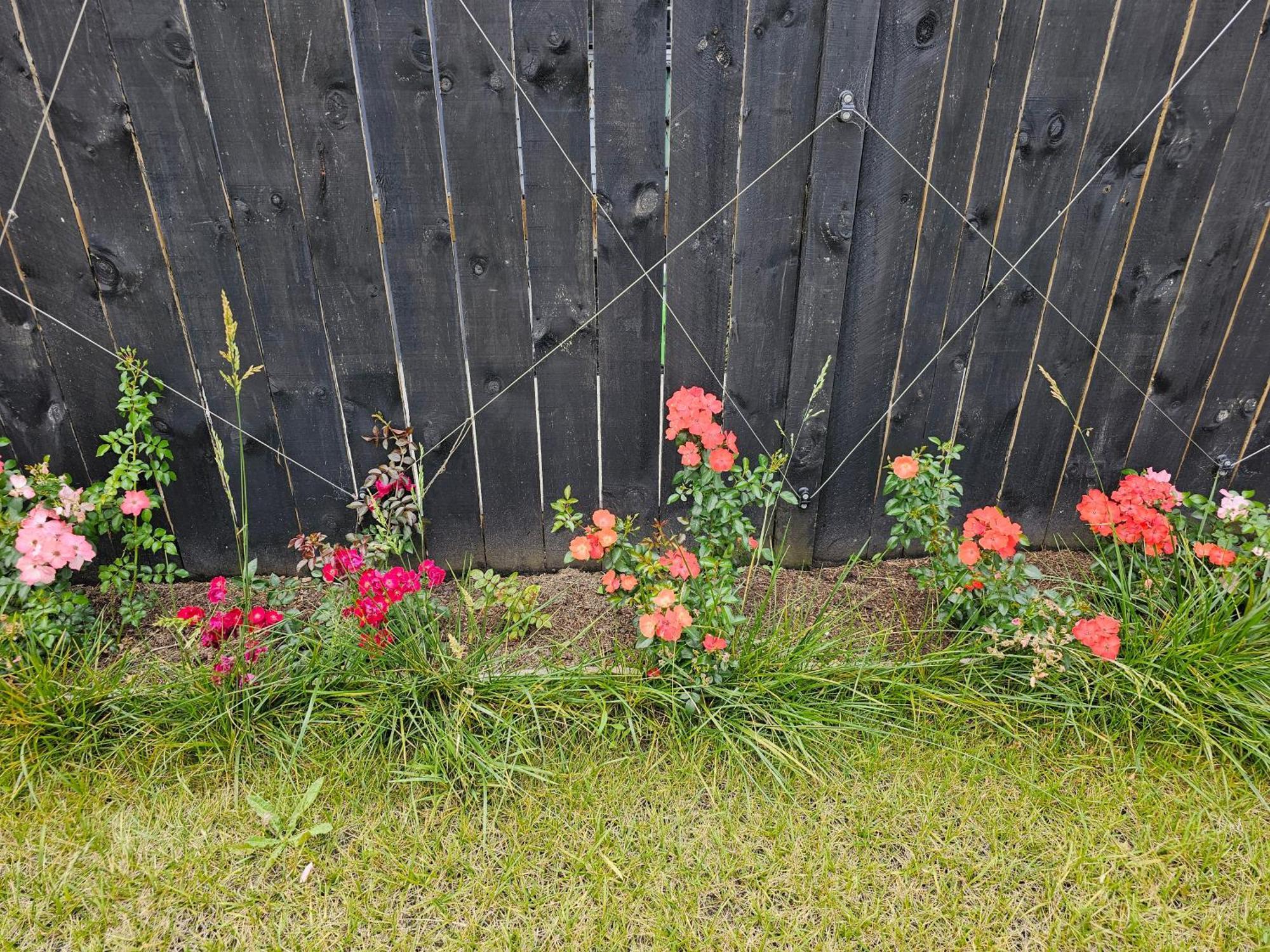 Tui Nest Garden Unit Silverdale Exterior foto